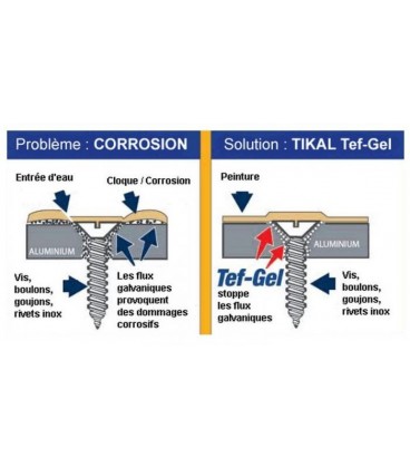 GRAISSE Tef Gel 10gr